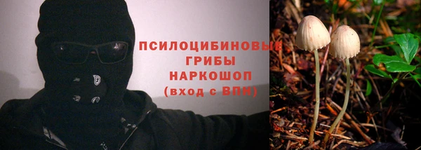 прущая мука Осинники