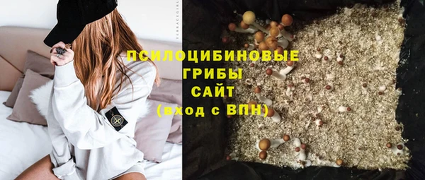 прущая мука Осинники