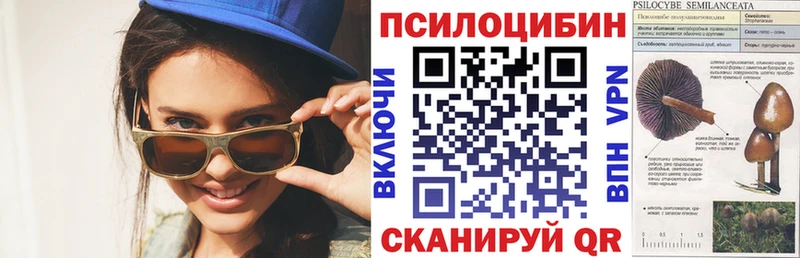 Псилоцибиновые грибы мицелий  купить   mega ТОР  Альметьевск 